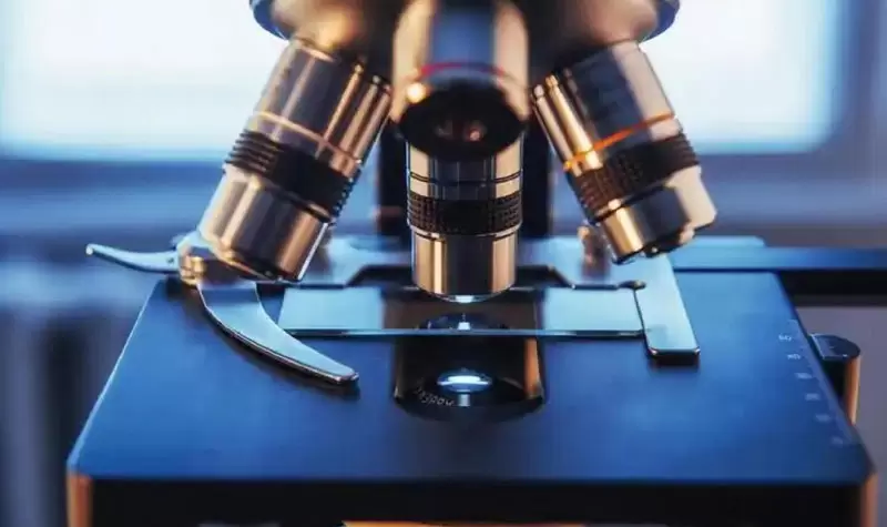 현미경의 주요 성능 매개변수