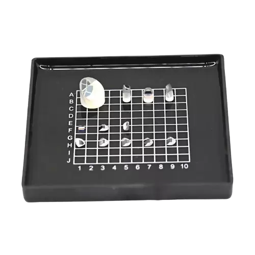 마이크로 프리즘